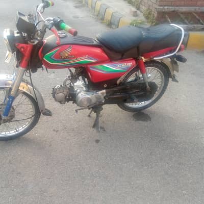 CD70 Baik for sel