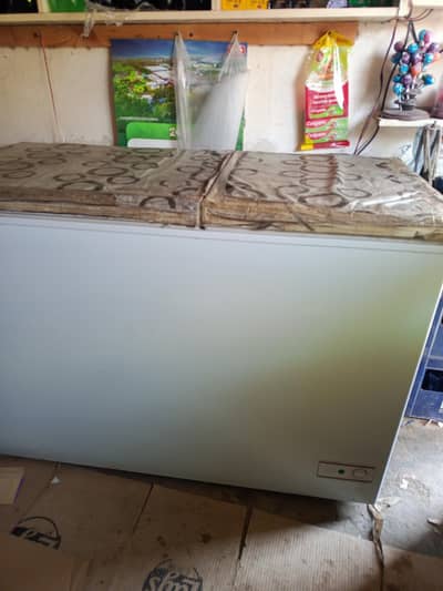 Haier D frezer