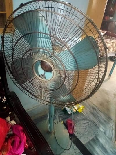 Table fan