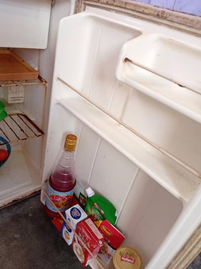 mini fridge 1
