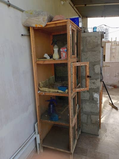 Ply wood cage