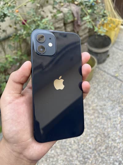 Apple iPhone 12