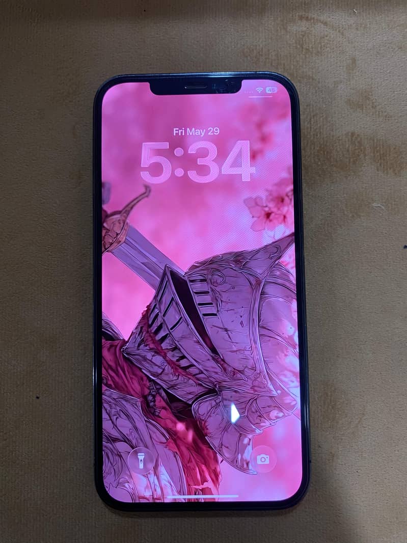 Iphone 12 pro max 1