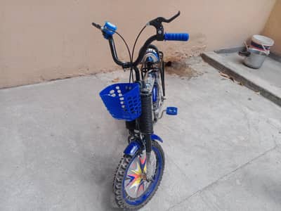 new cycle