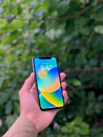Apple iPhone X