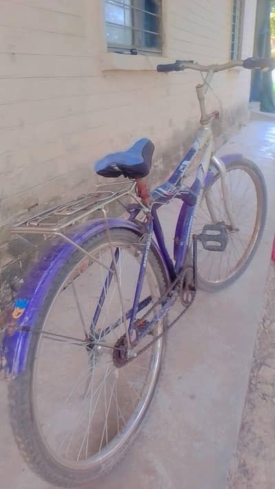 bicycle super sports