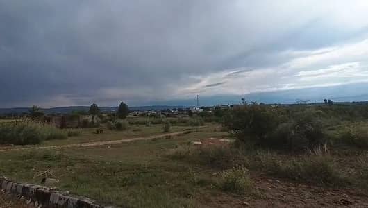 agriculture Land available zari raqba