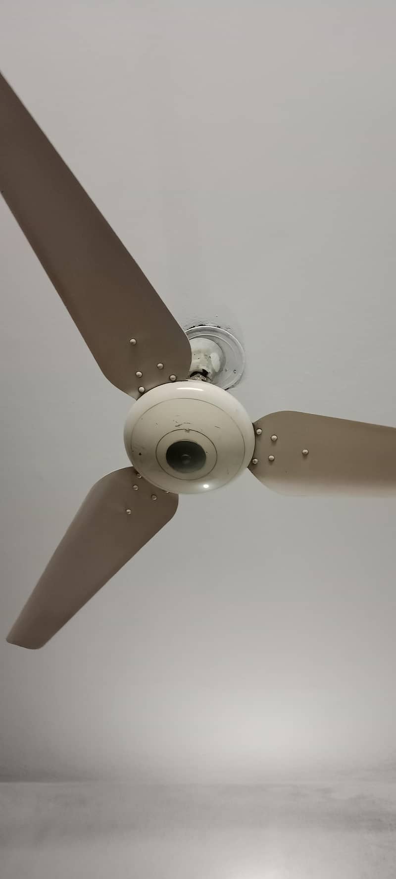 ceiling fan 1