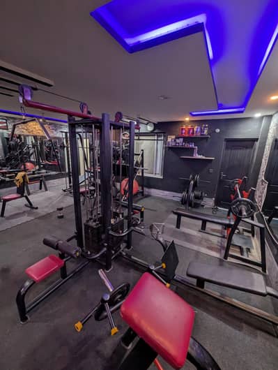 Complete Basic Gym Setup Machines for Sale