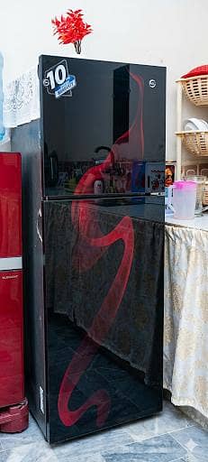 pel glass door medium size fridge