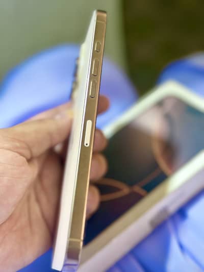 iPhone 16pro max 256gb