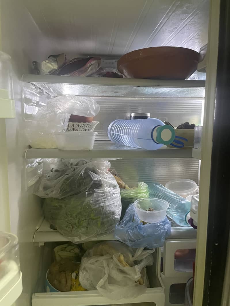 Fridge 4
