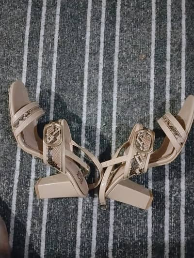 ecs shoes 1 time wear only.