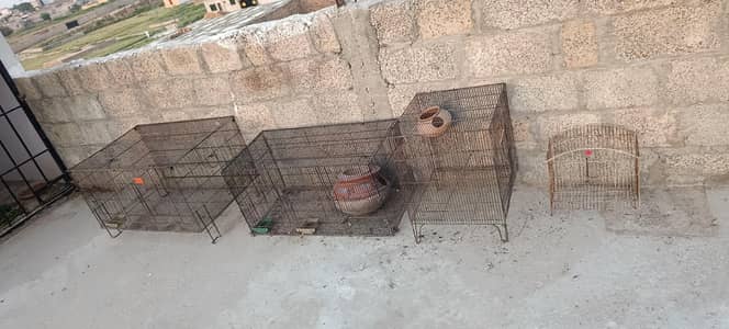 4 Bird  Cages Urgent For Sale