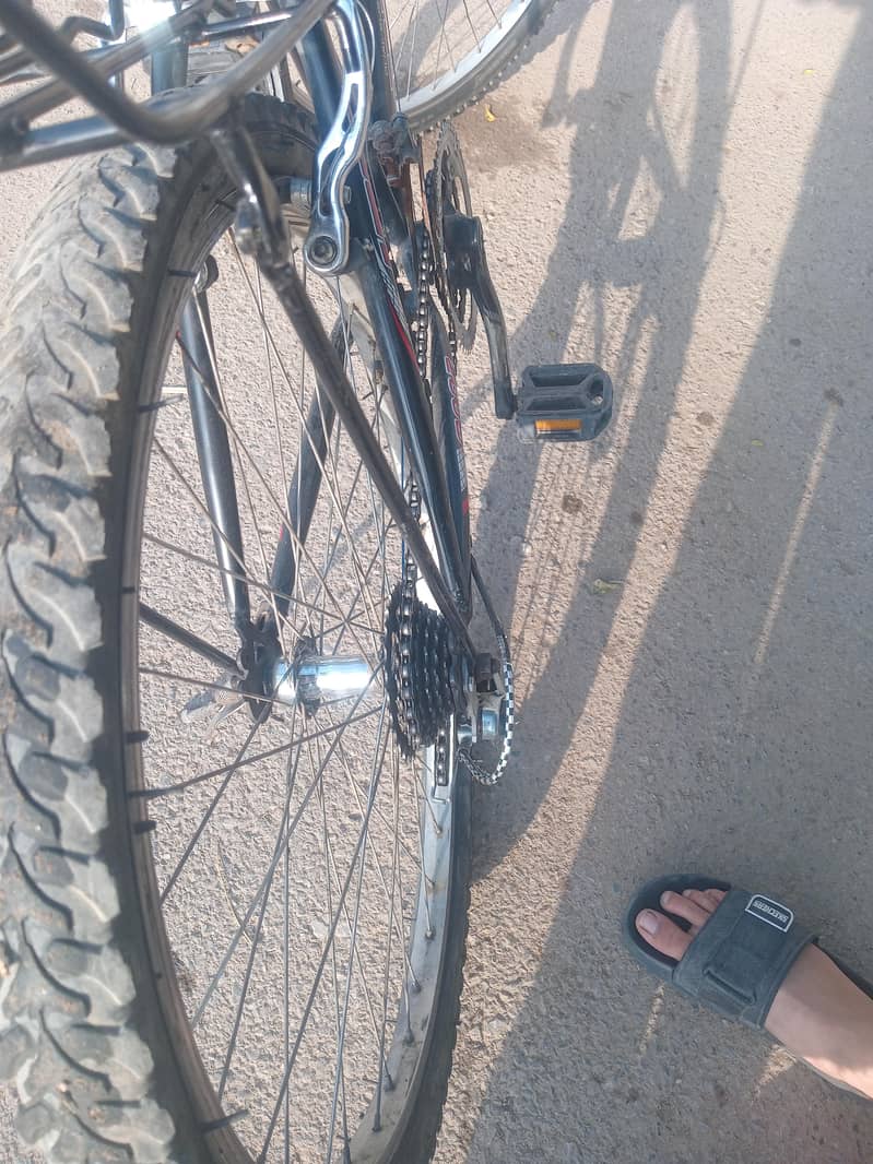 bicycle 2