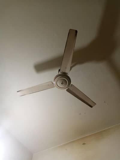 fan for sale
