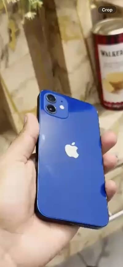 Apple iPhone 12
