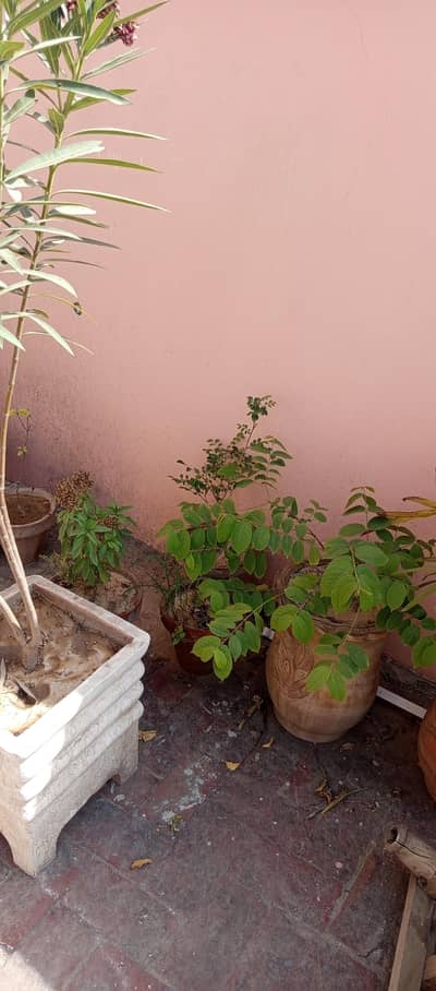 selling my garden and tools