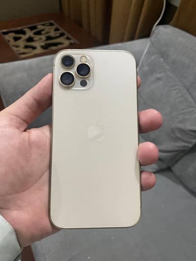 iPhone 12 pro