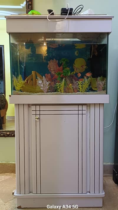 Fish Aquarium for sale