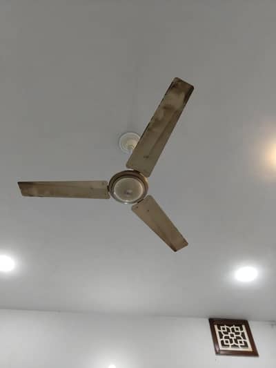 ceiling fan Al Riaz company for sale