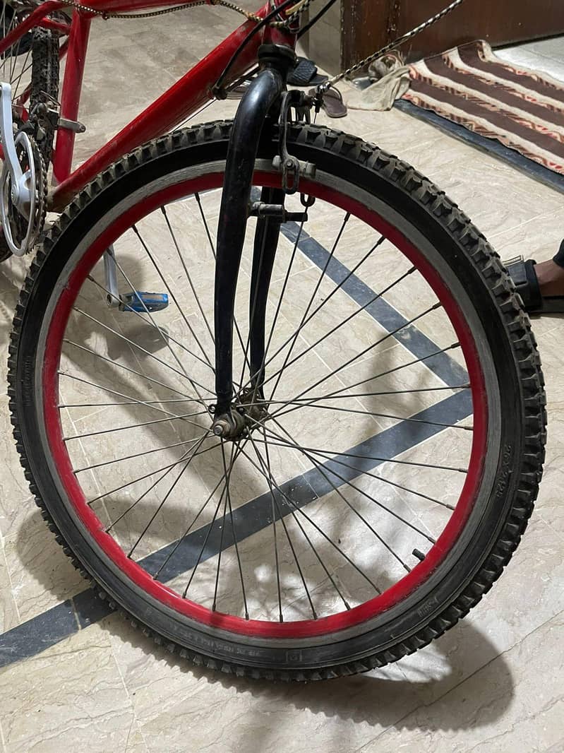 Ferrari Cycle 5