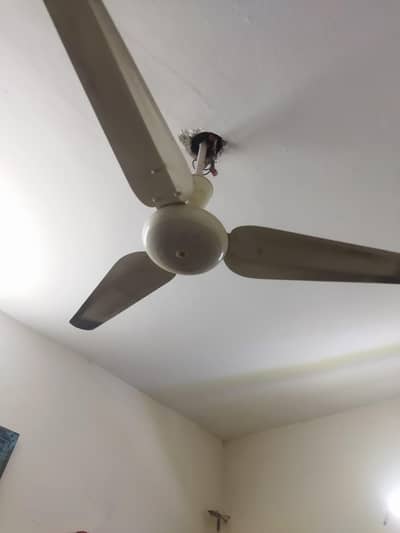 Sk fan