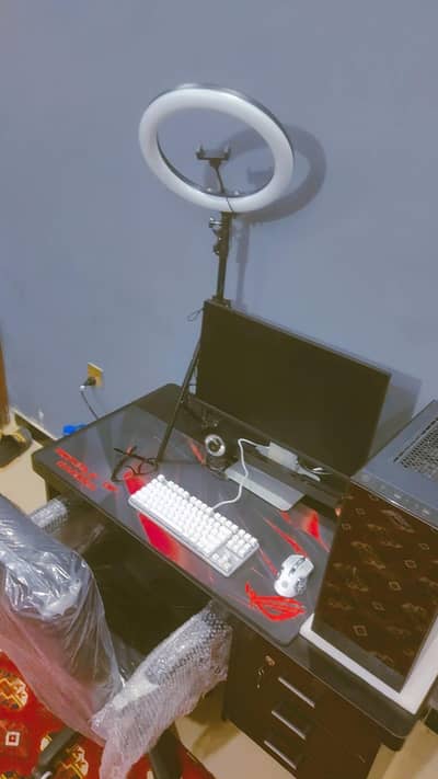 +923371561560