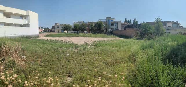 dheenda road plot for sale