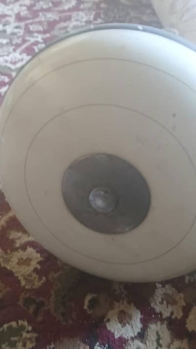 Pak Fan 56" ceiling fan