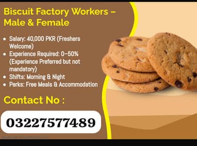 Mayfair buiscuit factory staff required Male female urgnt hiring