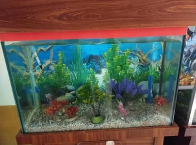 Aquarium