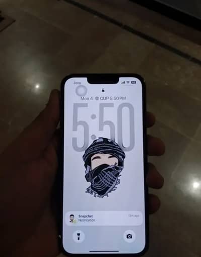 Apple iPhone 13 Pro Max