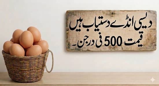 Desi eggs
