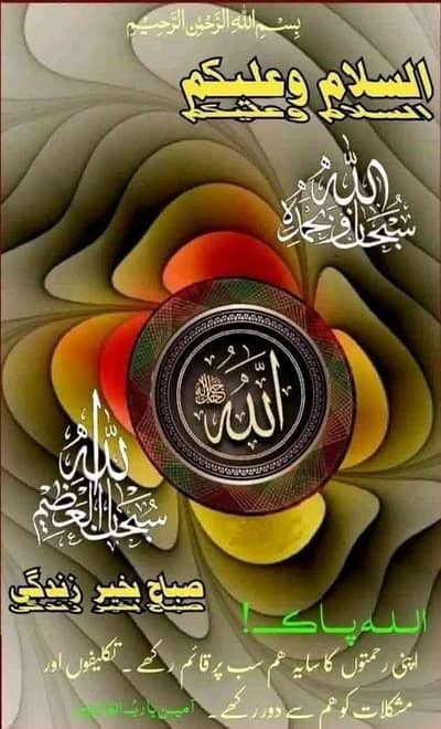 Ali Gujjar 