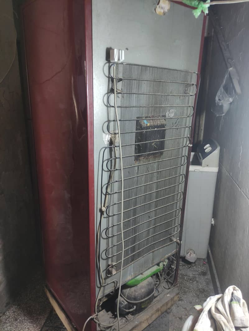 fridge 7