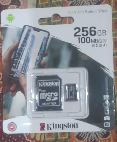 merry card Kingston 256 gb original
