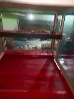 Golgappay fruit chat alu chat counter