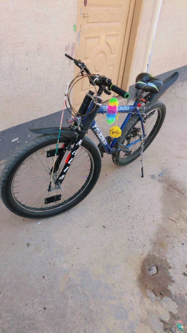 Cycle 3