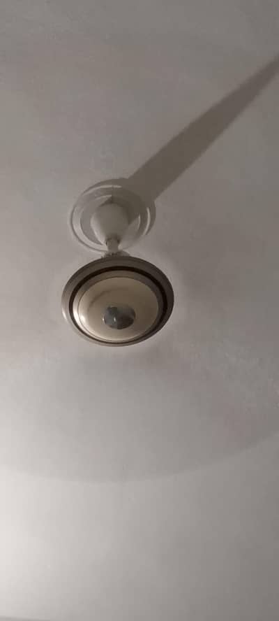 ceiling fans