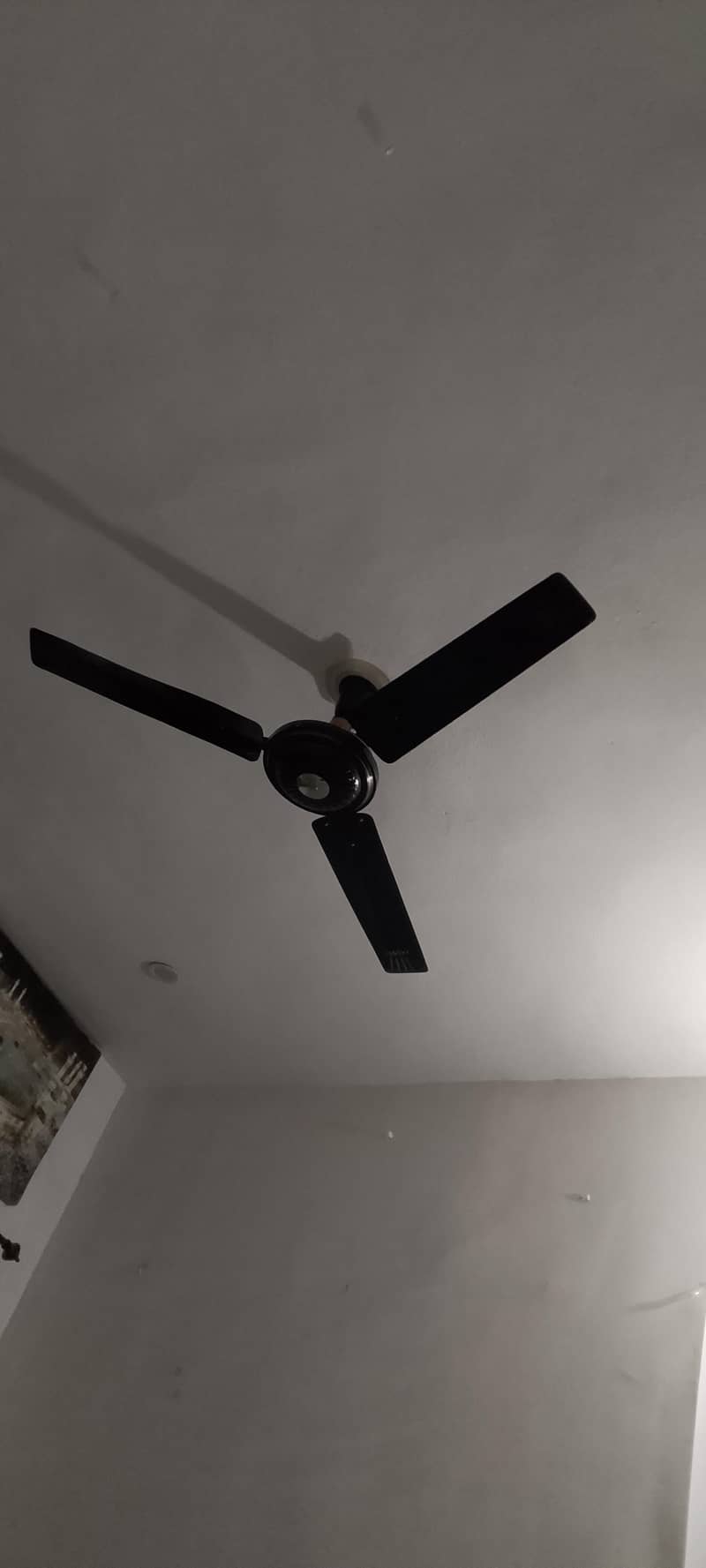 ceiling fans 1