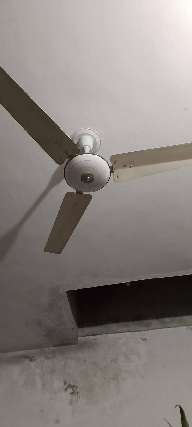 ceiling fans 4