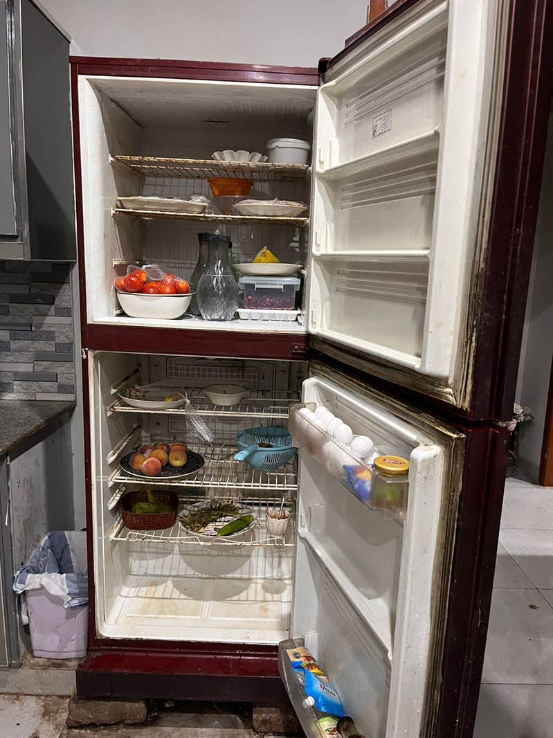 fridge 2