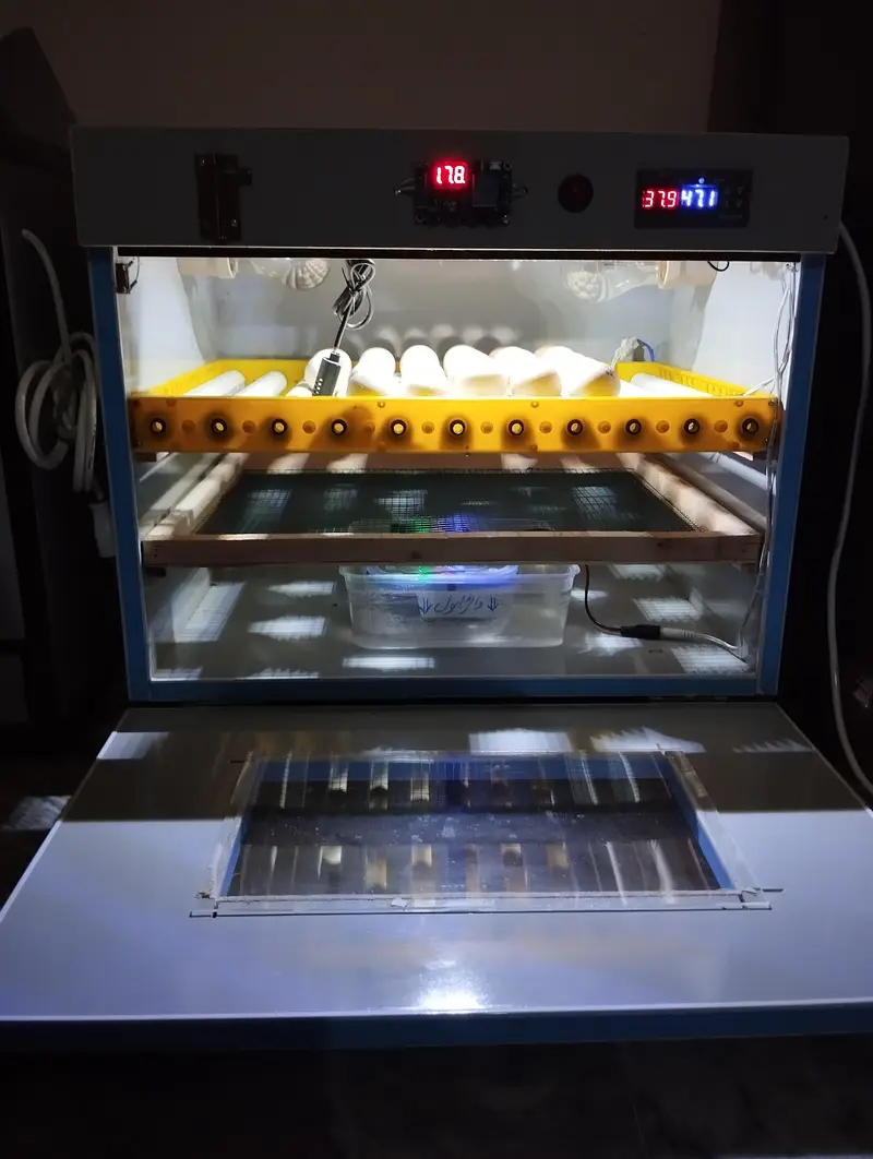 Full Automatic incubator — photo 2