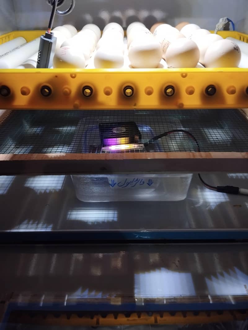 Full Automatic incubator 2