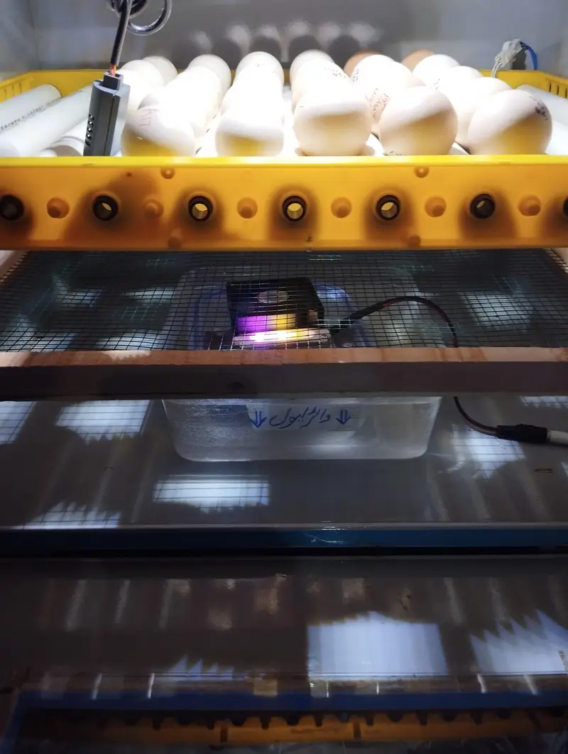 Full Automatic incubator — photo 3