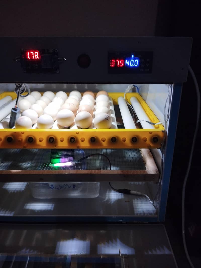 Full Automatic incubator 3