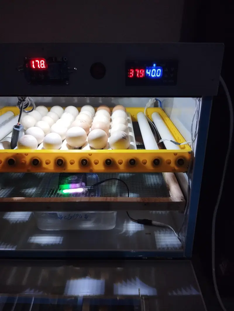 Full Automatic incubator — photo 4