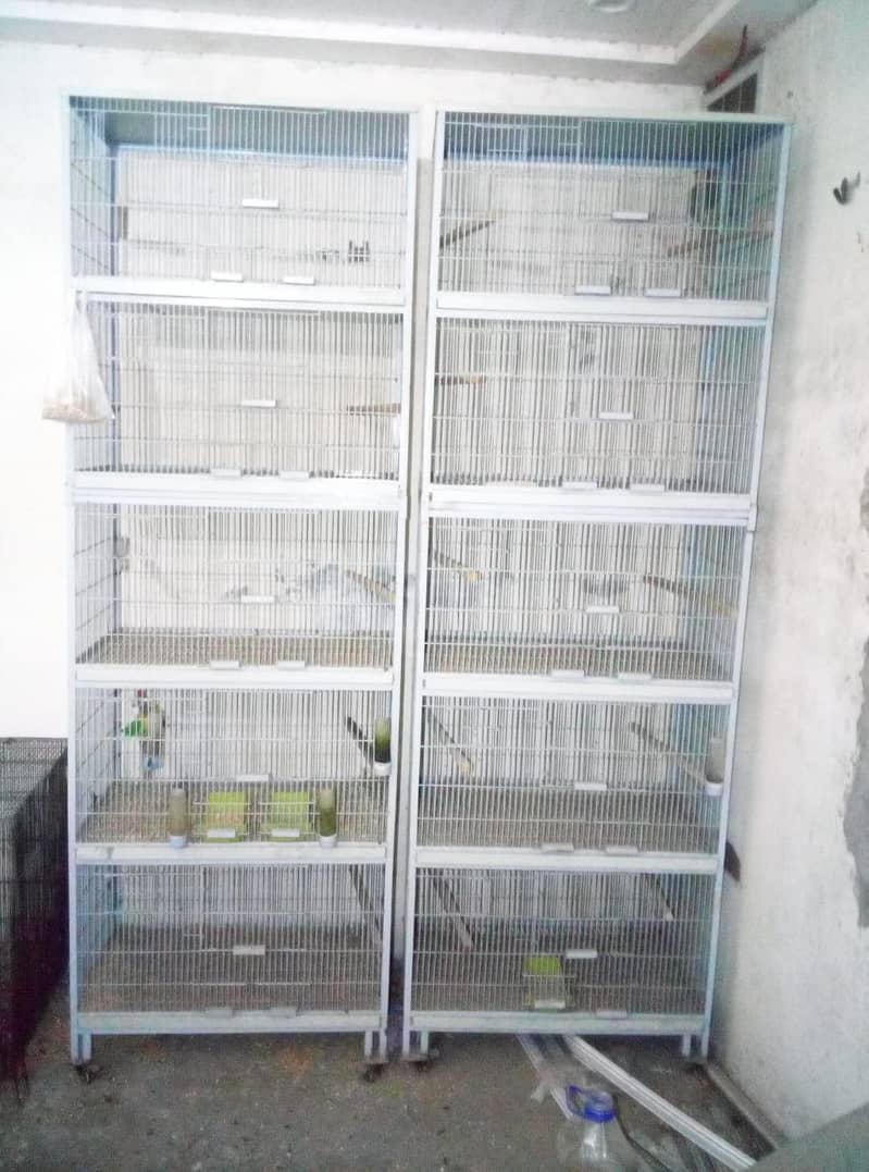 2 cages 0