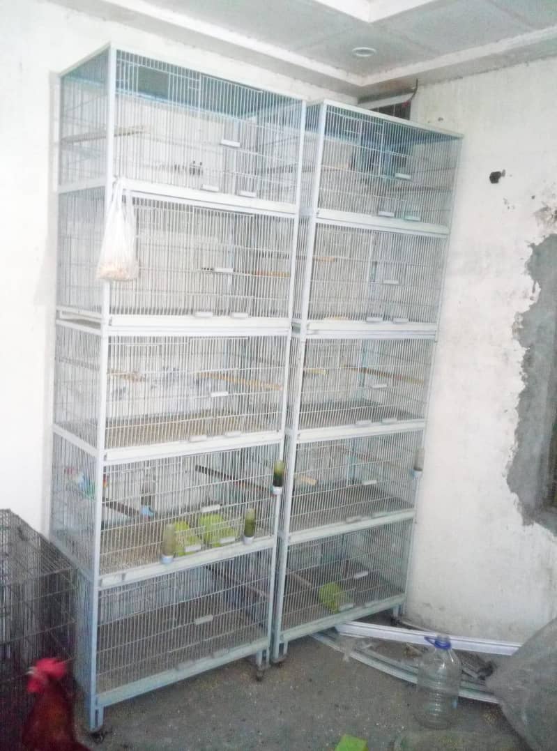2 cages 1